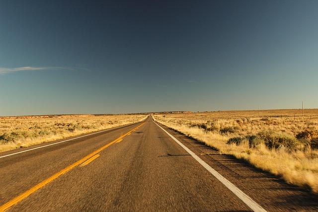 Roadtrip-Filme Quiz