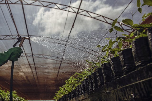 Quiz zum Umweltschutz & Klima